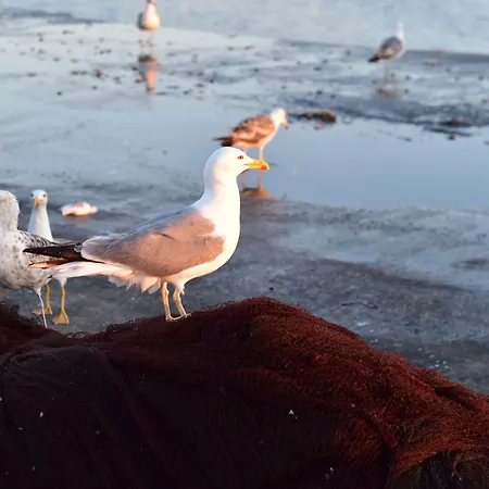 Mercearia D'alegria Boutique 3*