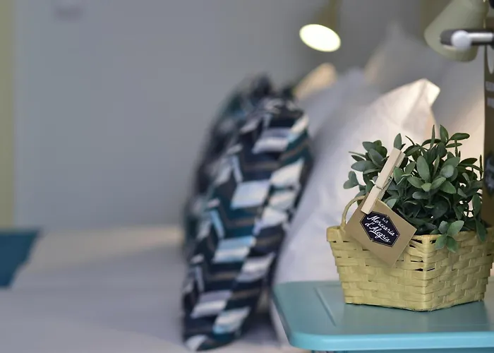 Mercearia D'alegria Boutique 페니케